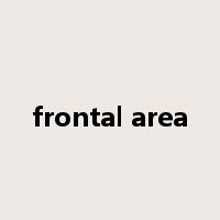 frontal area是什么意思