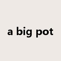 a big pot是什么意思