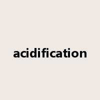 acidification是什么意思