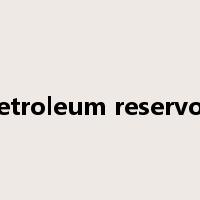petroleum reservoir是什么意思