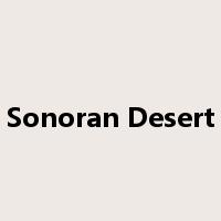 Sonoran Desert是什么意思