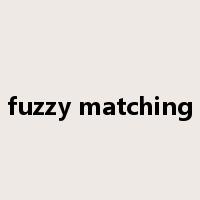 fuzzy matching是什么意思