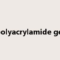 polyacrylamide gel是什么意思
