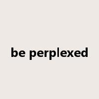 be perplexed是什么意思