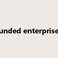 funded enterprises是什么意思