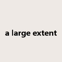 a large extent是什么意思