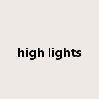 high lights是什么意思