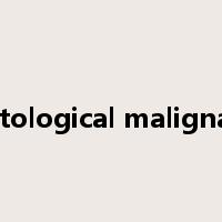 hematological malignancies是什么意思