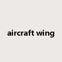 aircraft wing是什么意思