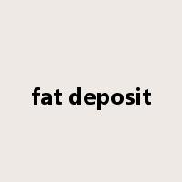 fat deposit是什么意思