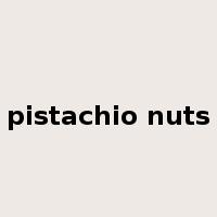 pistachio nuts是什么意思