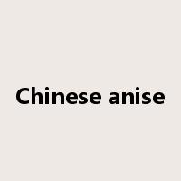 Chinese anise是什么意思