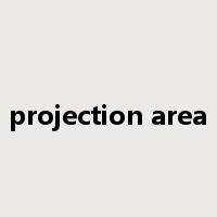 projection area是什么意思