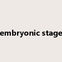 embryonic stage是什么意思