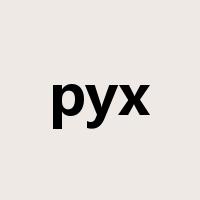 pyx是什么意思