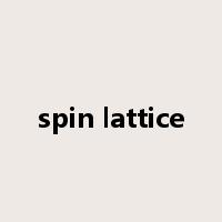 spin lattice是什么意思
