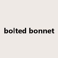 bolted bonnet是什么意思
