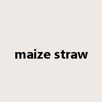 maize straw是什么意思