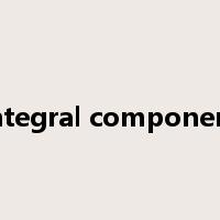 integral component是什么意思