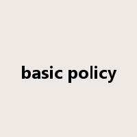 basic policy是什么意思