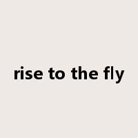 rise to the fly是什么意思