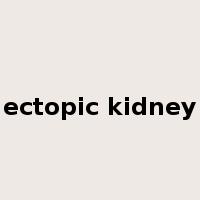 ectopic kidney是什么意思