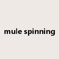 mule spinning是什么意思