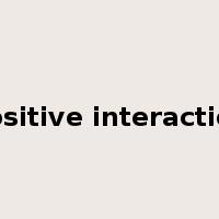 positive interaction是什么意思