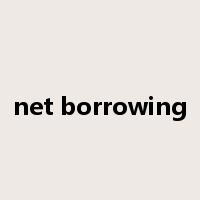net borrowing是什么意思