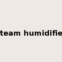 steam humidifier是什么意思