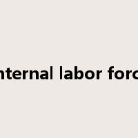 Internal labor force是什么意思