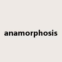 anamorphosis是什么意思