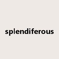 splendiferous是什么意思
