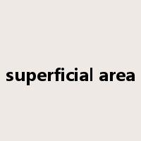superficial area是什么意思