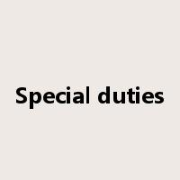 Special duties是什么意思