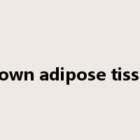 brown adipose tissue是什么意思
