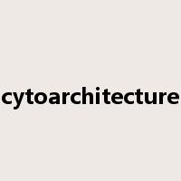 cytoarchitecture是什么意思