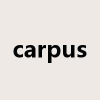 carpus是什么意思