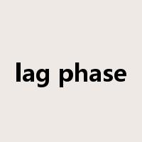 lag phase是什么意思