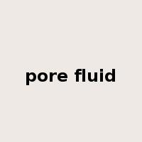 pore fluid是什么意思