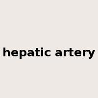 hepatic artery是什么意思