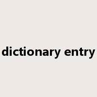 dictionary entry是什么意思