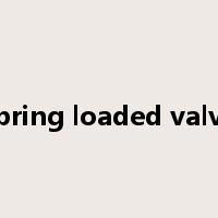 spring loaded valve是什么意思