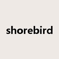 shorebird是什么意思