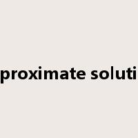 approximate solution是什么意思