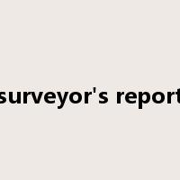 surveyor's report是什么意思