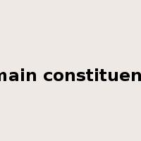 main constituent是什么意思