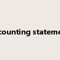 accounting statement是什么意思