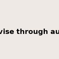 supervise through auditing是什么意思