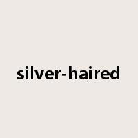silver-haired是什么意思